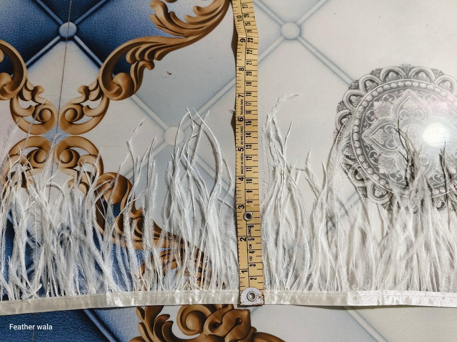 Ostrich feather trim